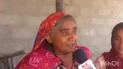 રાપર: વાગડમાં ભૂંસો ખાધા બાદ પશુઓના ટપોટપ મોતથી હડકંપ, પશુપાલકે પ્રતિક્રિયા આપી.#jansamsya