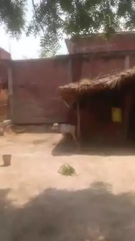 ग्राम पुरे लाल सिंह माजरा बसुपुर थाना नसीराबाद ब्लॉक छतोह तहसील सलोन जिला रायबरेली मूल निवासी है उचित कार्रवाई करने की