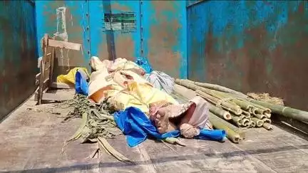 ইংরেজবাজার: দৌলা কোচপাড়া এলাকায় গলায় ফাঁস লাগিয়ে আত্মঘাতী এক কৃষক