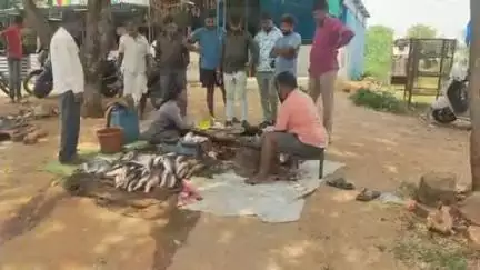 పటాన్​​చెరు: జిన్నారం మండల కేంద్రంలో మృగశిర కార్తె సందర్భంగా చేపలు కొనుగోలు చేసేందుకు ఆసక్తి కనబరిచిన జనం