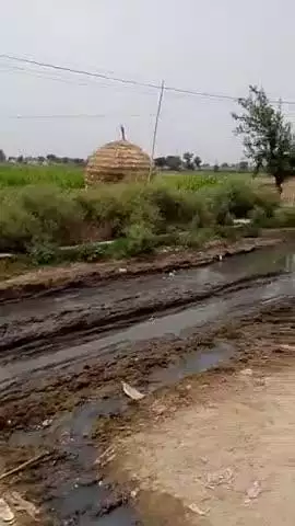 jila Sambhal tahsil gunnaur block junawai ke gaon gehat mein nale ki Safai na hone ke Karan raste per bhara Pani