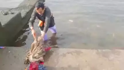 बड़वाह: बड़वाह: नर्मदा घाट पर गंगा दशहरे के बाद रामभक्तों और हनुमान भक्तों ने चलाया सफाई अभियान