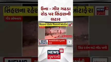 Gir Somnath Lion Viral Video: ઉના - ગીર ગઢડા રોડ પર સિંહણની લટાર | Una | Kameshwar Mahadev | News18
