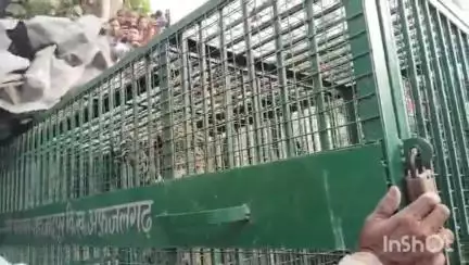 धामपुर: शेरकोट क्षेत्र के गांव शाहजहांपुर में बंद पड़े ईंट भट्ठे के पास पिंजरे में गुलदार हुआ कैद