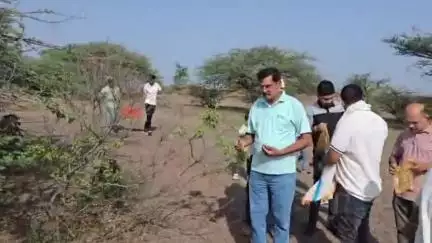 धुळे: वडेल चौफुली परिसरात 'ग्रीन धुळे वृक्ष टीम'तर्फे सीडबॉल टाकणे आणि बीजारोपण उपक्रम यशस्वी