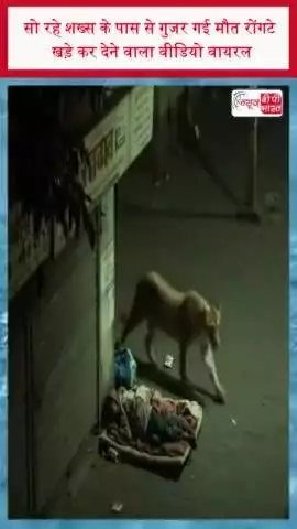 सो रहे शख्स के पास से गुजर गई मौत, रोंगटे खड़े कर देने वाला वीडियो वायरल