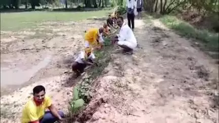 मखदुमपुर: इक्किल ठाकुरबाड़ी में गायत्री परिवार द्वारा किया गया वृक्षारोपण