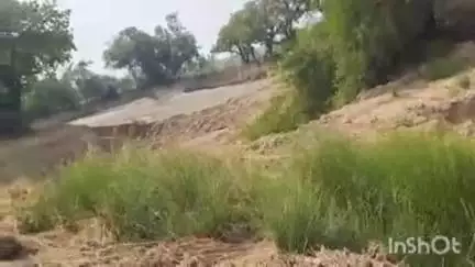 सोहावल: सोहावल तहसील के शाखूपारा के भांभा गांव में हो रहा खनन, जिम्मेदार मौन