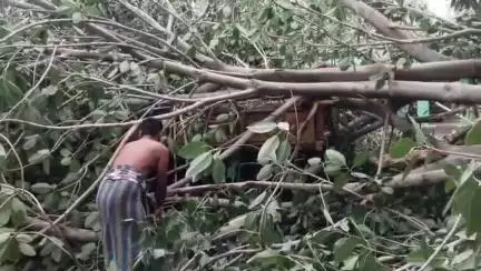 ଅନୁଗୋଳ: ବଡ଼କନ୍ତକୁଳ ଗ୍ରାମରେ ବର୍ଷା ପବନ ଯୋଗୁଁ ଭାଙ୍ଗିଲା ଗଛ ଓ ଘର
