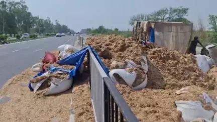 हिसार: हिसार-सिरसा हाईवे पर पुलिस नाके के पास तुड़ी से भरी ट्राली पलटी, ट्रैक्टर चालक घायल