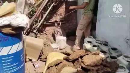 शाहनगर: खमतरा: घर की बाड़ी में घुसा ब्लैक कोबरा, सर्प मित्र मोनू सोनी ने किया सुरक्षित रेस्क्यू