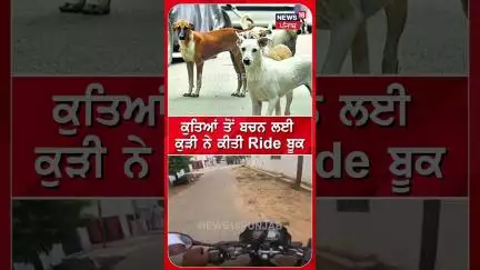 ਕੁੱਤਿਆਂ ਤੋਂ ਬਚਨ ਲਈ ਕੁੜੀ ਨੇ ਕੀਤੀ Ride ਬੂਕ | #shorts | N18S