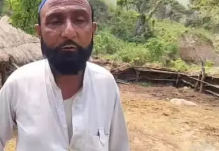 बेहट: मोहण्ड के जंगल से चोरों ने वन गुर्जर की लाखों रुपए की 5 भैंस की चोरी
