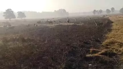 बालाघाट: बालाघाट जिले के पार्क 3 महीने के लिए बंद, 1 अक्टूबर से दोबारा खुलेंगे: विभाग
