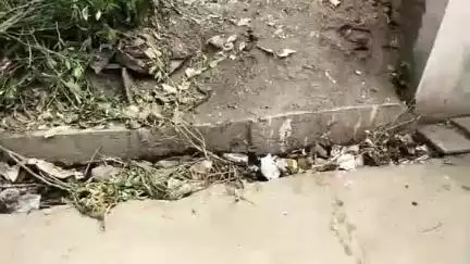 जबलपुर: भेड़ाघाट स्थित सिहोदा गांव में नाली और सड़कों के लिए लोग हो रहे परेशान स्थानीय जनप्रतिनिधि नहीं दे रहे ध्यान #jansamasya