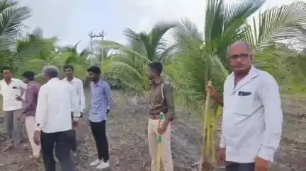 લાખાપરા ગામે 7 દિવસથી પાંજરા મૂક્યા હોવા છતાં દીપડો પાંજરે ન પુરાતા લોકોમાં રોષ પ્રવર્ત્યો,પ્રતિક્રિયા #Jansamasya