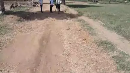 तुमसर: चुल्हाड येथे पांदण रस्त्याची दुरावस्था, पांदण रस्त्याची दुरुस्ती करण्याची शेतकऱ्यांची मागणी #Jansamasya