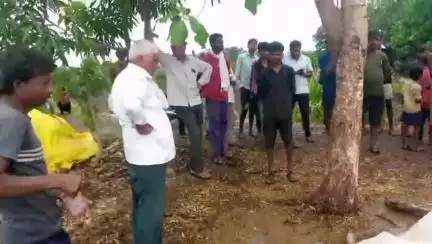 निवाली: ग्राम भिलआमदा में आकाशीय बिजली गिरने से बैल की मौत, किसान को आर्थिक नुकसान, मुआवजे की मांग
