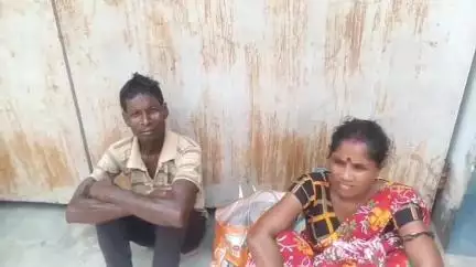 বহরমপুর: মধুপুরে মাঠে বিষধর সাপের ছোবলে অসুস্থ এক যুবক, চিকিৎসাধীন বহরমপুর MMC&H-এ
