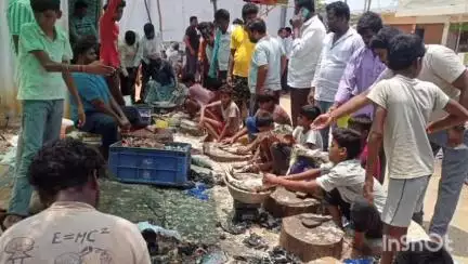 శంకరంపేట ఏ: పెరిగిన చేపల ధరలతో ఆందోళనలో జనం