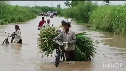 लक्सर: लक्सर में मानसून से पूर्व चौतरफा नदियों से घिरे क्षेत्र के क्षतिग्रस्त तटबंध, संभावित बाढ़ का बना खतरा