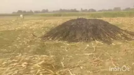 अमृतपुर: चिड़िया मोहोलिया गांव के खेतों में दबंगों ने मक्के के ढेर में लगाई आग, मामला थाने पहुंचा