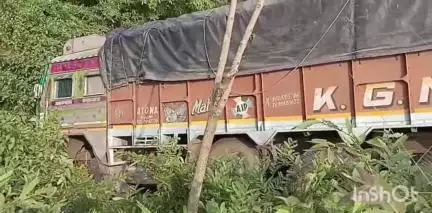 मसलिया: हिरलजोरी पुल के तीखे मोड़ पर अनियंत्रित एलपी ट्रक खाई में गिरा, चालक बाल-बाल बचा