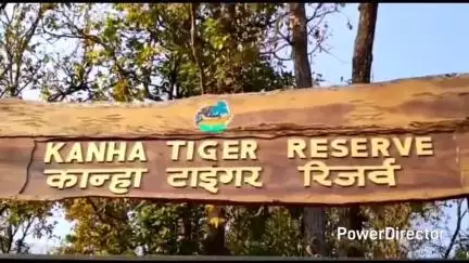 नैनपुर: कान्हा टाइगर रिजर्व की नई पहल, वन कर्मियों के 400 परिजन अब कर सकेंगे मुफ्त जंगल सफारी