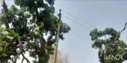 मसलिया: मसलिया थाना में बिजली विभाग ने ₹39626 की बिजली चोरी पर सात लोगों के खिलाफ मामला दर्ज कराया