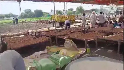 खानपुर: बकानी क्षेत्र के सलावद गाँव में लोधा समाज का सामूहिक भोज सोशल मीडिया पर चर्चा का विषय बना