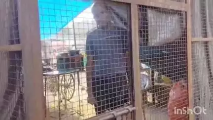 कुरावली: कुरावली क्षेत्र में चोरों ने सब्जी की दुकान का ताला चटकाकर की चोरी