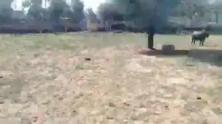 parbatsar tesil ke manglana gaav me 
kumhar jaati ke logo dwara Nath jaati ke khet me ghus kar tod fod or jaan leva hmla