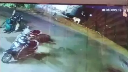 निवाड़ी: निवाड़ी पुलिस की सजगता से वार्ड 5 से चोरी हुई गाय मिली, लोगों ने जताया आभार