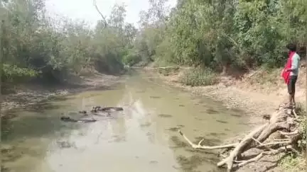 सफीपुर: चकलवंशी में सूखती बरकोता ड्रेन नदी से जल संकट की ओर, किसान परेशान और मवेशी प्यासे हैं