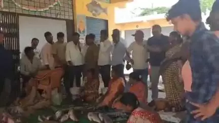 సంగారెడ్డి: సంగారెడ్డి లో మృగశిర కార్తె సందర్భంగా కిలో చేప రూ.600