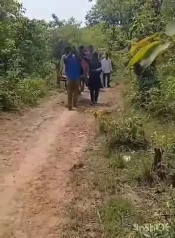 మణుగూరు: పినపాక మండలం పరిధిలోని ఉమేష్ చంద్ర నగర్ కు చెందిన మహిళను కాన్పు కోసం డోలీలో తీసుకొచ్చిన స్థానికులు