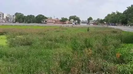नागपूर शहर: नाईक तलाव परिसरात मच्छराचा धुमाकूळ, आरोग्याचा प्रश्न होतोय निर्माण 
#jansamsaya