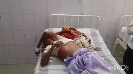बांका: बलारपुर गांव में जामुन तोड़ते समय पेड़ से गिरकर वृद्ध जख्मी, मायागंज रेफर