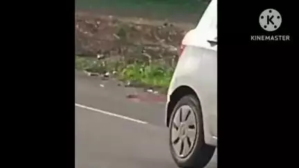हवेली: चर्होली परिसरातील तानिष ऑर्चिड Q विंगच्या मागे युवकाची स्टंटबाजी