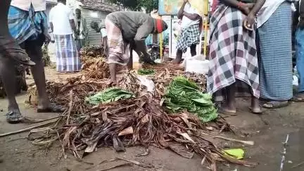 பாப்பிரெட்டிபட்டி: கடத்தூர் வெற்றிலை வார சந்தையில் மூட்டைக்கு தொடர் முகூர்த்தால் ரூ 6000 அதிகரிப்பு