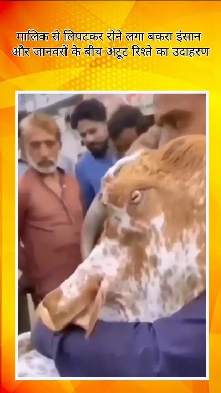 रोहिणी: मंगोलपुरी में बकरीद पर बिकने आया बकरा मालिक से लिपटकर रोया, वीडियो वायरल