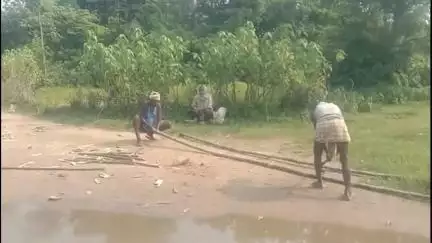 ঝালদা ২: প্রশাসনের ভরসা ছেড়ে শালদহ নদীর উপর নিজেরাই বাঁশের সেতু বানাচ্ছেন বরুয়াকোচা এলাকাবাসী#jansamasya