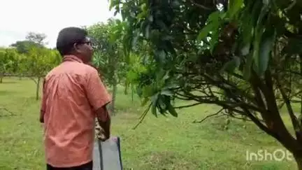 नाला: पुंसिया के प्रगतिशील किसान भोला सिंह बने अन्य किसानों के लिए प्रेरणा स्रोत
