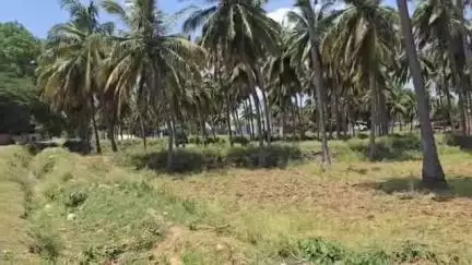 திருப்பத்தூர்: ஆலங்காயம் காவல் நிலைய சரகத்திற்கு உட்பட்ட பகுதியில் சிறுவன் புகைப்பது போன்ற வீடியோ 2024 ஆம் ஆண்டு எடுக்கப்பட்டது மாவட்ட காவல்துறை செய்தி குறிப்பு