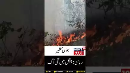 Reasi (Jammu Kashmir): Fire Broke Out At Forest Area | Reasi | Forest Fire | Shorts | News18 Urdu
