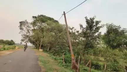 ବୌଦ୍ଧ ସଦର: ଆଇଁଲାଝୁଲି ଗ୍ରାମରେ ବିପଦ ସଙ୍କୁଳ ଅବସ୍ତାରେ ବିଦ୍ୟୁତ୍ ଖୁଣ୍ଟ ଯାତାୟାତରେ ବାଧାପ୍ରାପ୍ତ#jansamasya