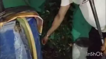 अनूपपुर: पटोरा टोला में निकला अजगर, सर्प प्रहरी ने किया रेस्क्यू