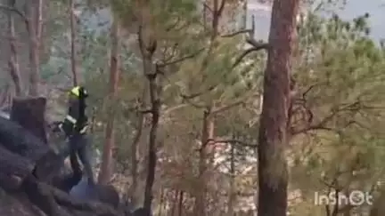 बागेश्वर: चंडिका मंदिर के पास रखी लकड़ियों में लगी आग, फायर टीम ने आवासीय परिसर और मंदिर में जाने से रोका