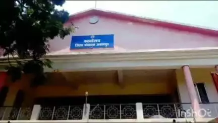 जबलपुर: जबलपुर में अनोखी पहल: घोटाला करने पर पेड़ लगाने की सजा, रोपे जाएंगे 50 हजार पौधे