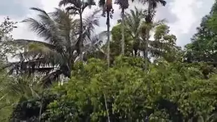 कांकेर: कांकेर में हुआ तेज आंधी-तूफान, आसमान में छाए बादल, बारिश होने की संभावना